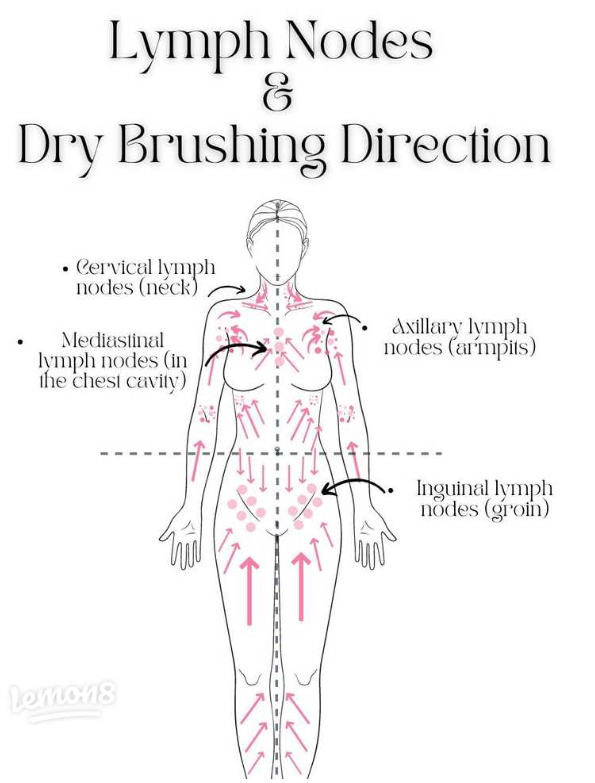 Full Body Dry Brush & Scalp Stimulator